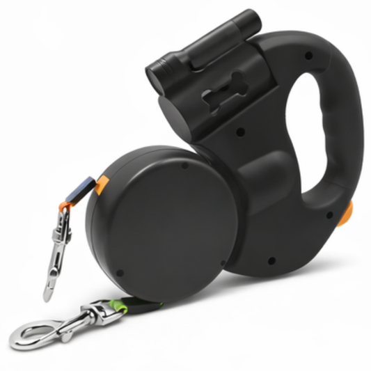 Smart Leash